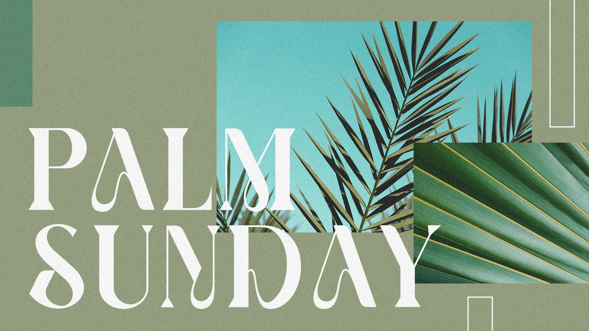 Usher in Palm Sunday with this modern and refreshing graphic template, evoking the timeless tradition of palm fronds and the triumphant spirit of this holy celebration in your church's media.
