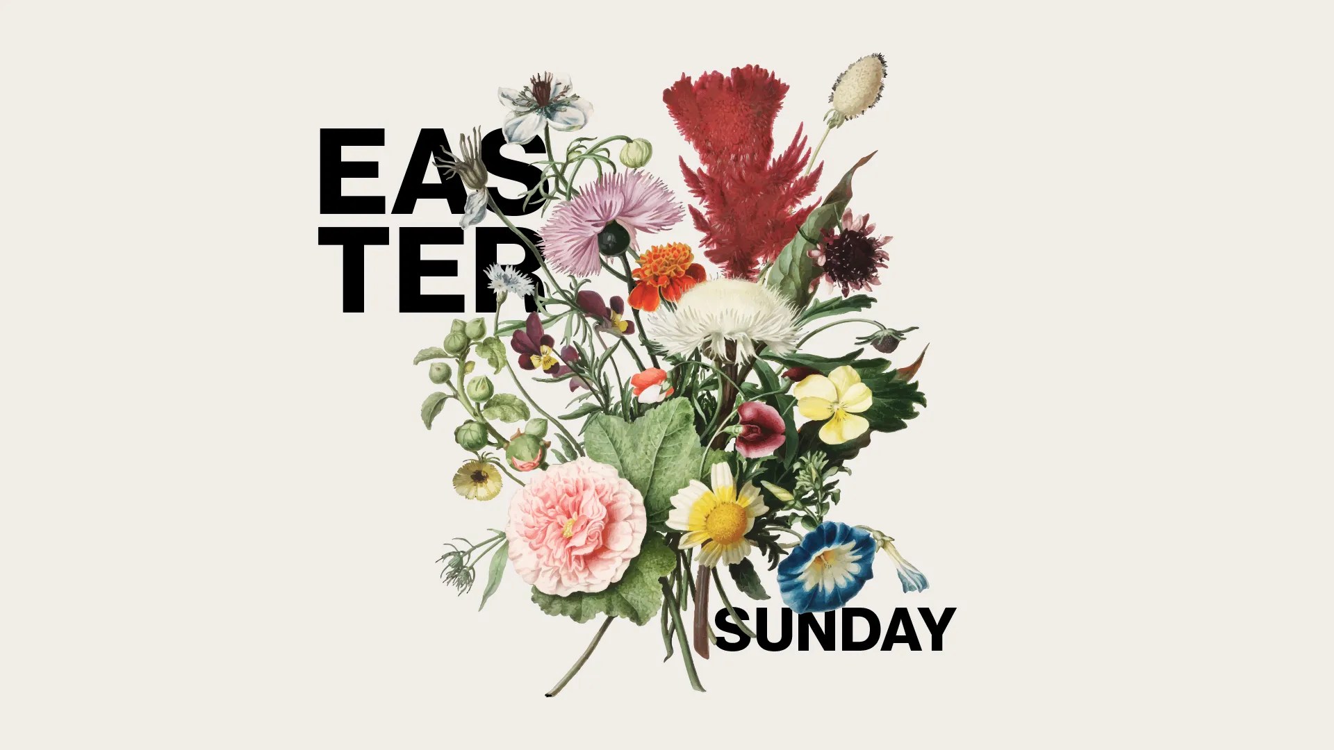 Embrace the joy of the resurrection with this fresh and floral Easter Sunday church event template, which beautifully marries classic botanical art with modern typography.