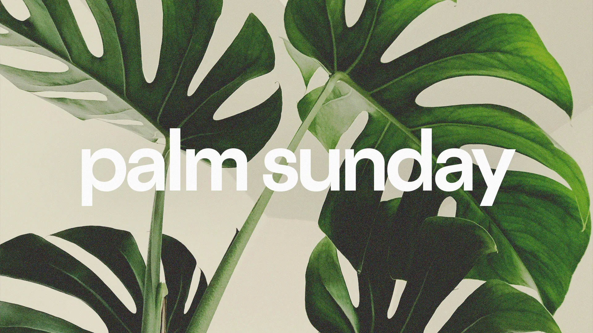 Welcome the start of Holy Week with this minimalist Palm Sunday church event template, showcasing lush green palm leaves paired with crisp, clear typography.