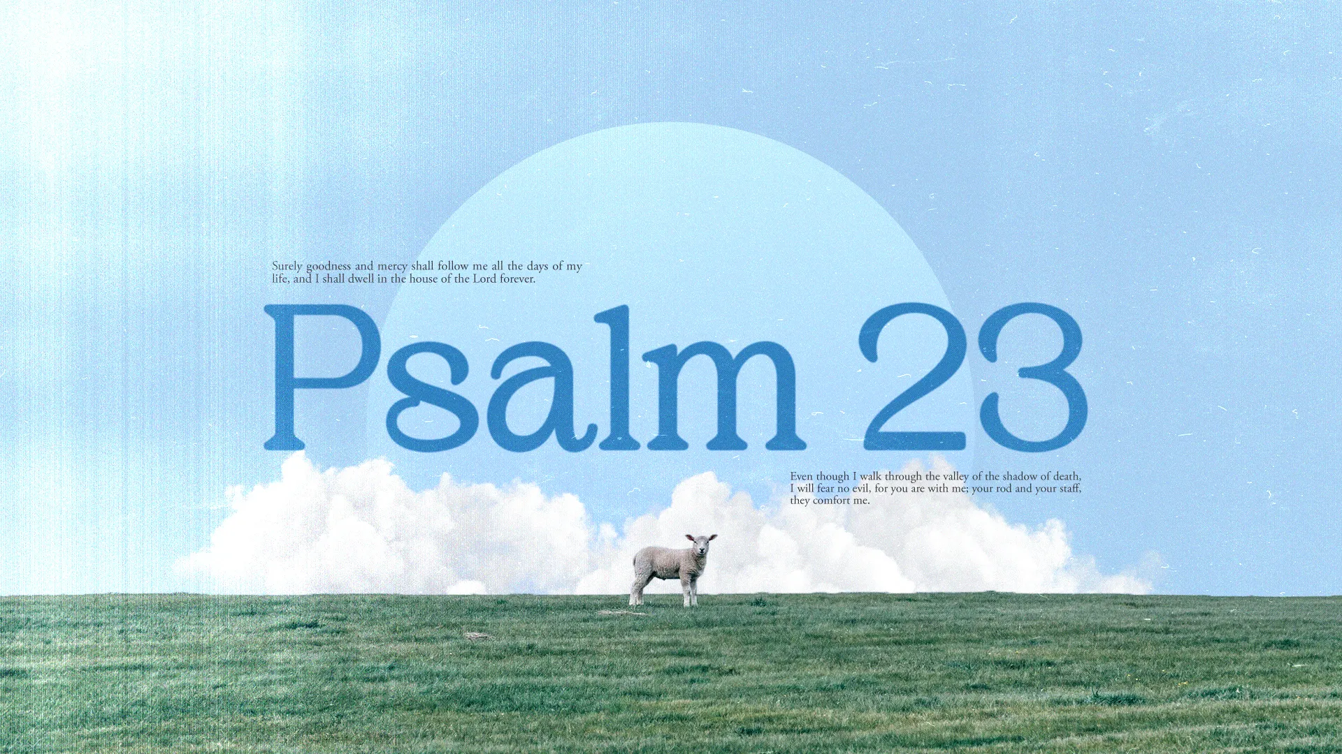 Peaceful landscape with a sheep, highlighting Psalm 23's themes of faith, guidance, and divine comfort.