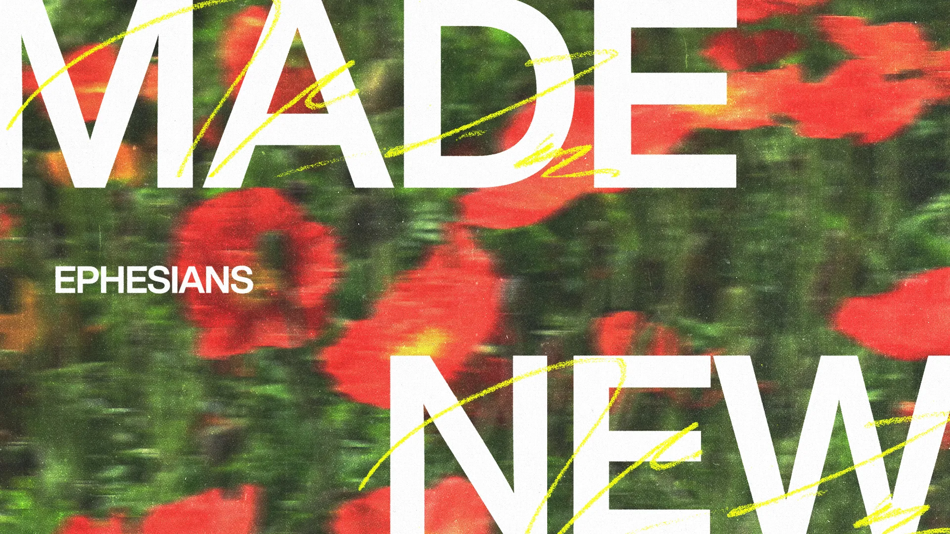 "Vibrant red flowers with bold text 'MADE NEW' and 'Ephesians,' symbolizing renewal and spiritual growth in faith."