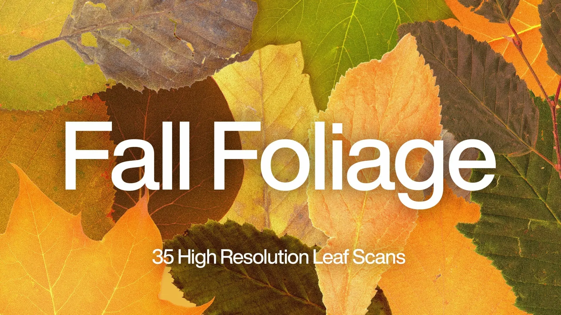Fall Foliage | Design Tools