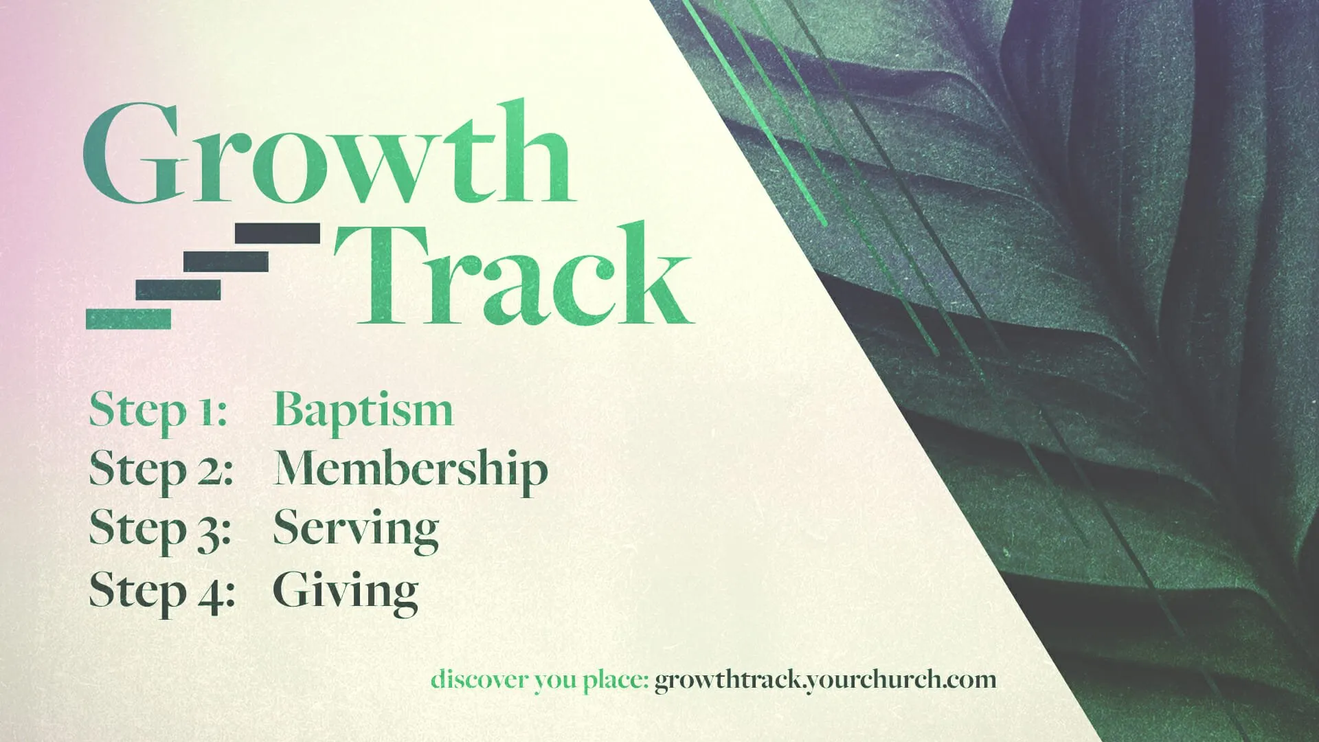 Growth Track preview 1
