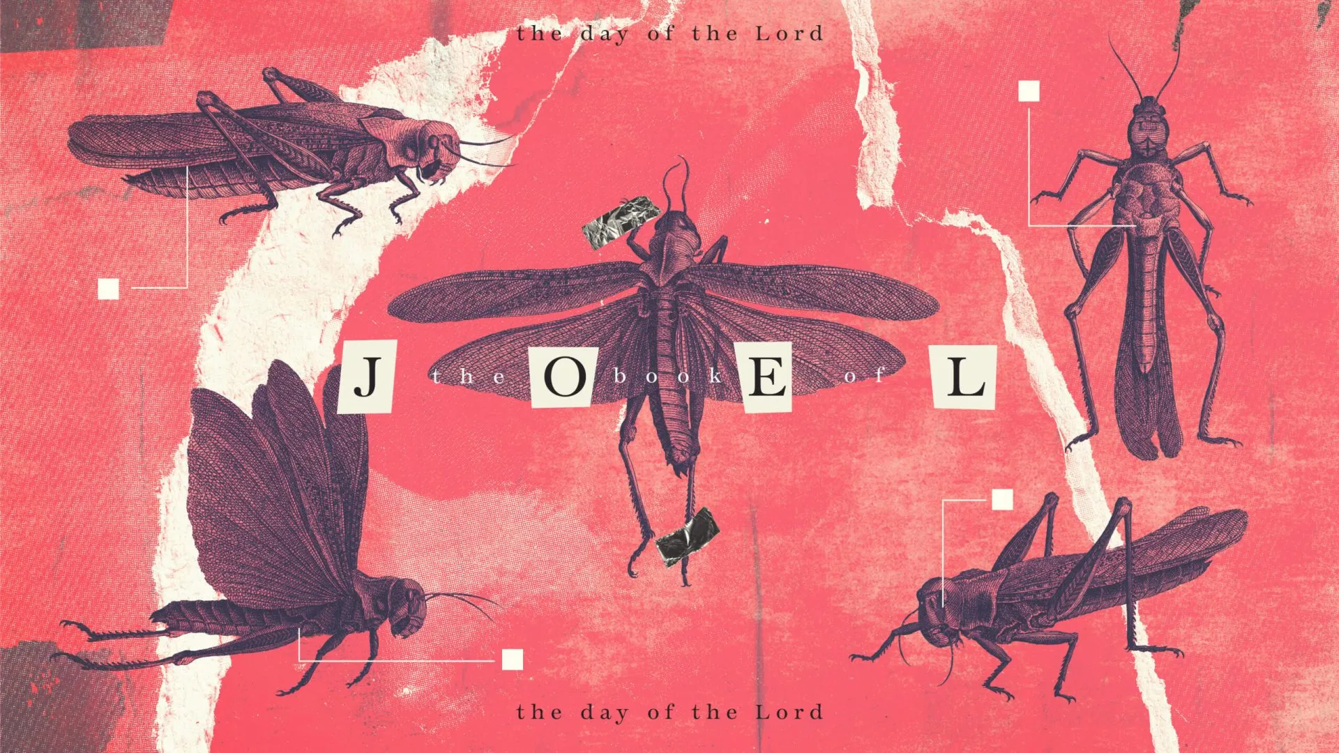 Joel