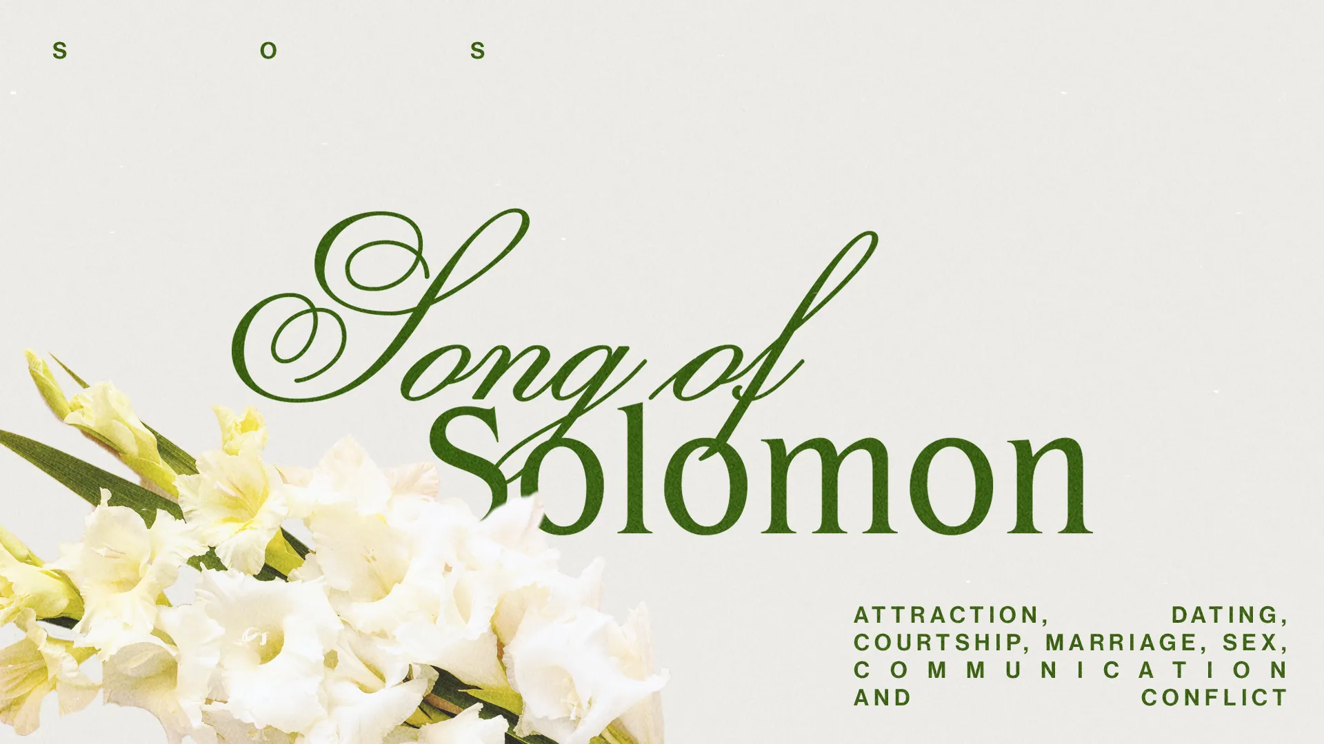 Song Of Solomon