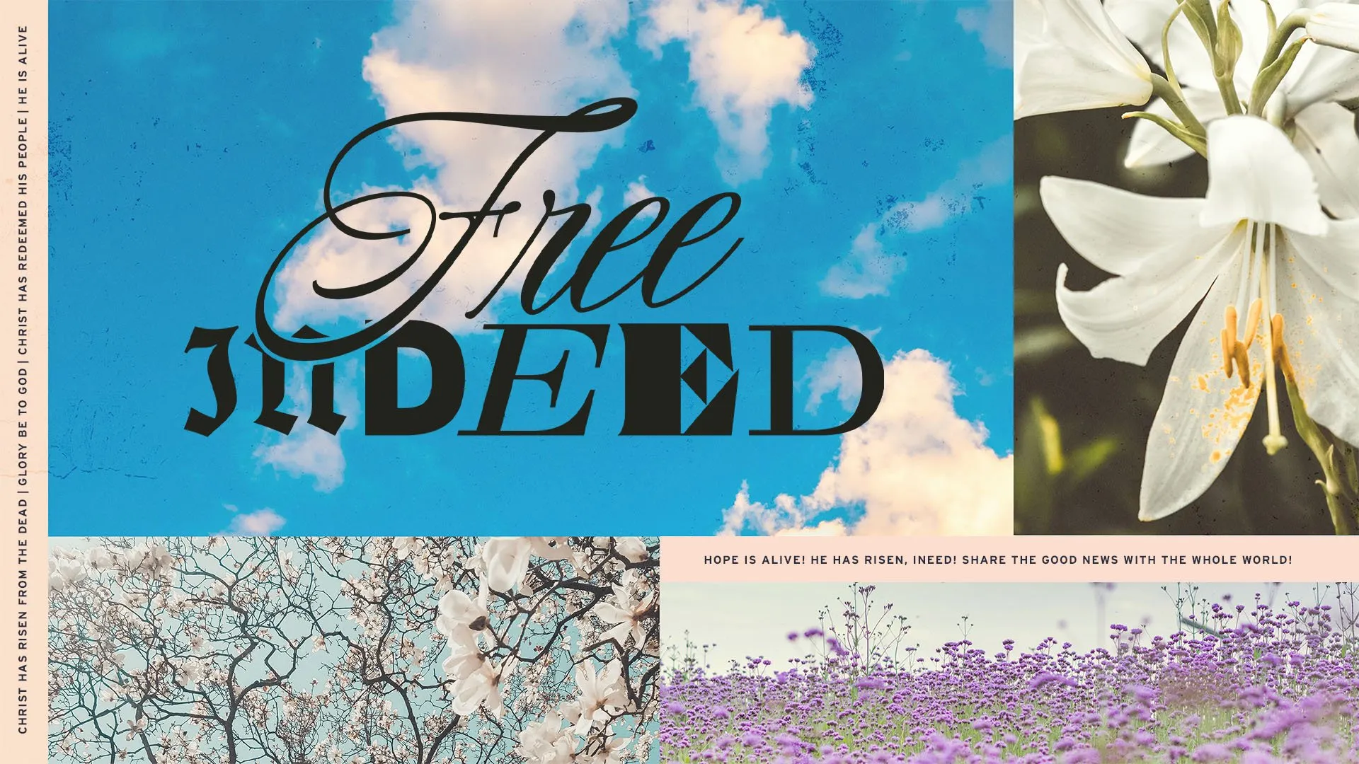 Free Indeed!