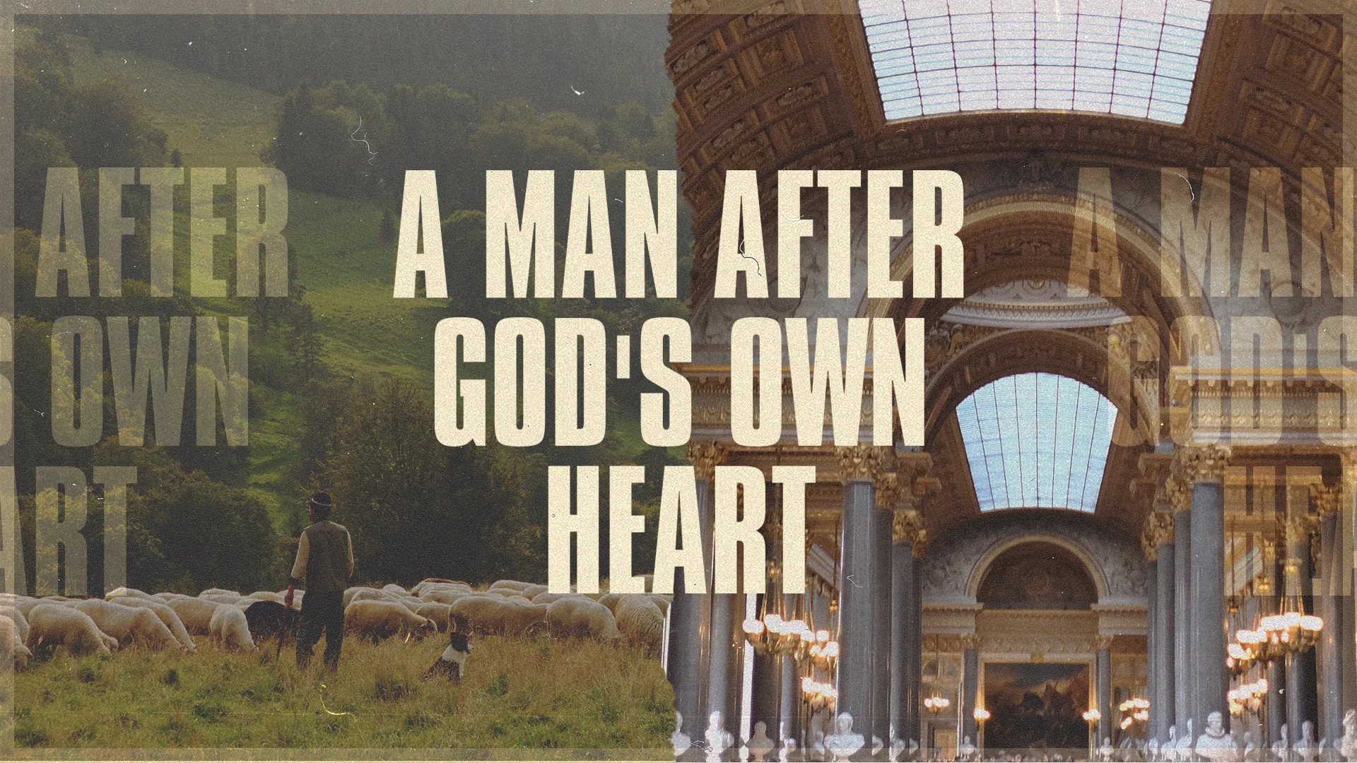 A Man After God’s Own Heart