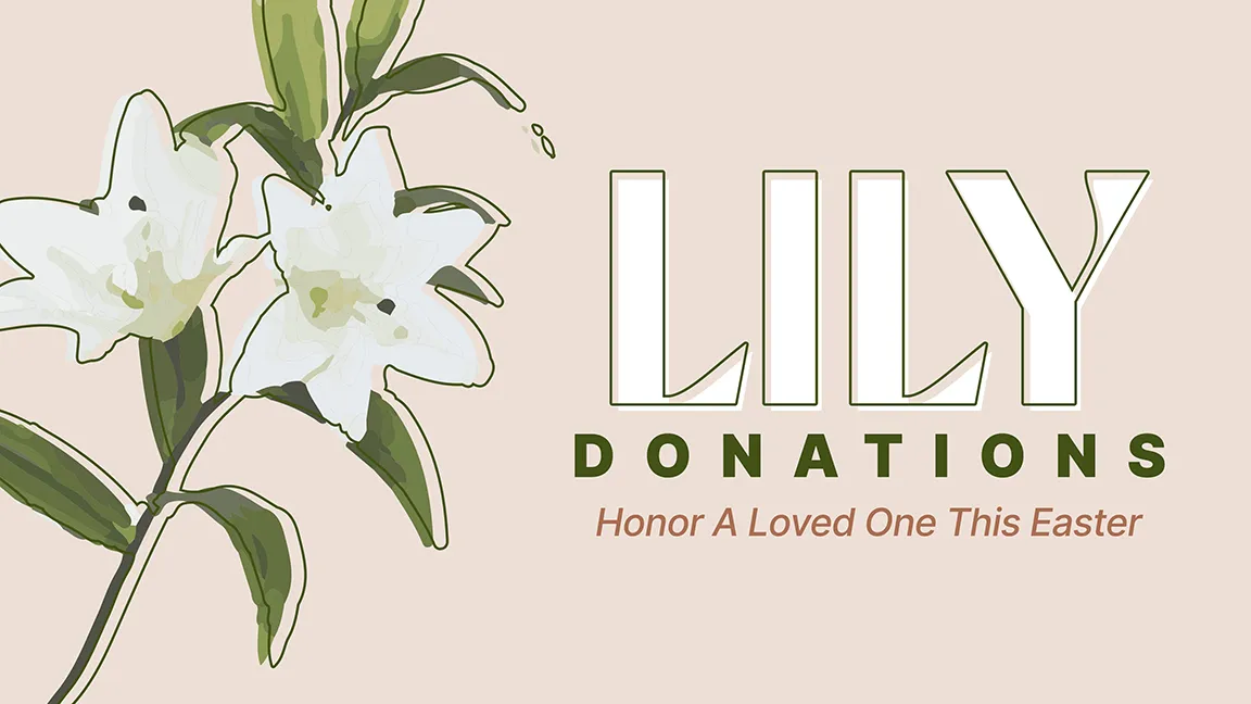 Lily Donations