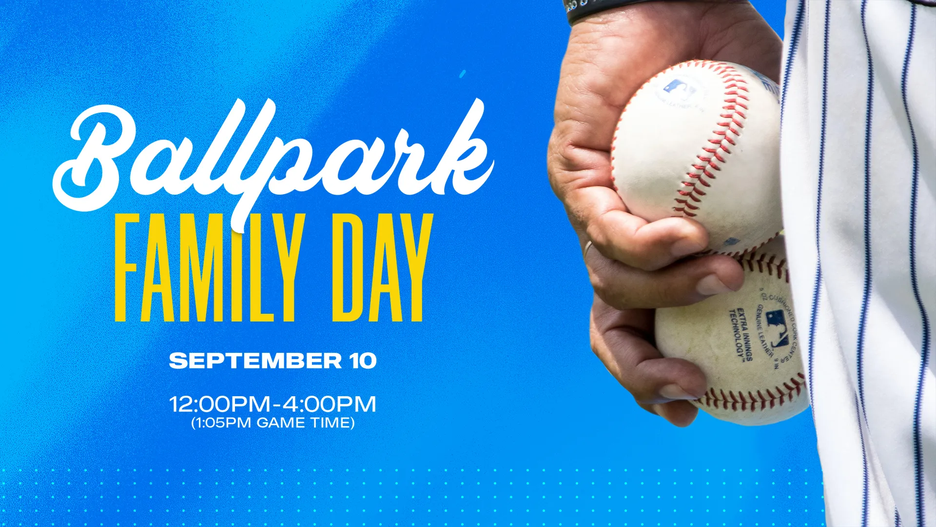 Ballpark Family Day