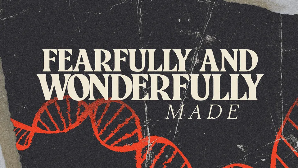 Fearfully and Wonderfully Made