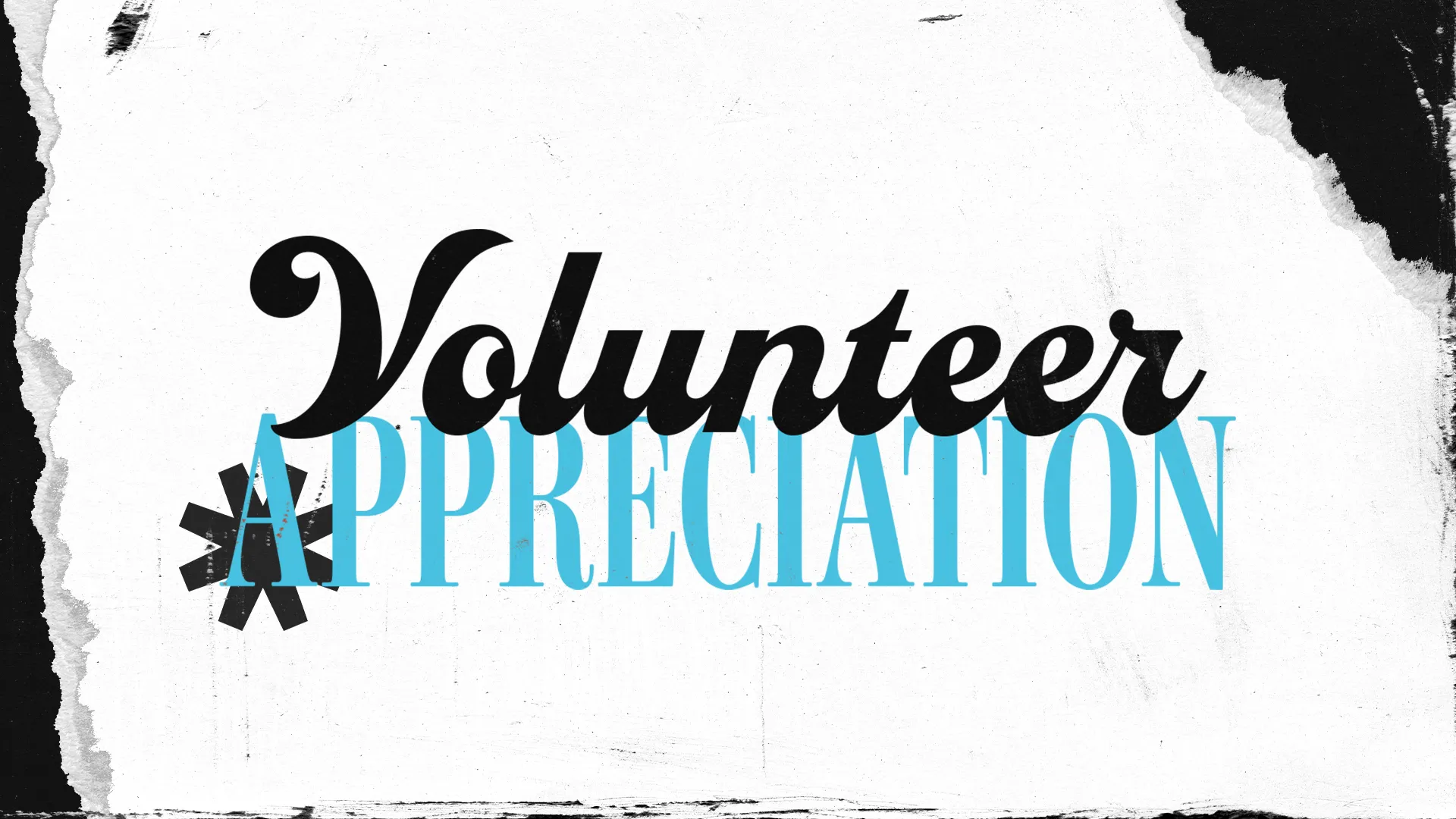 Volunteer Appreciation