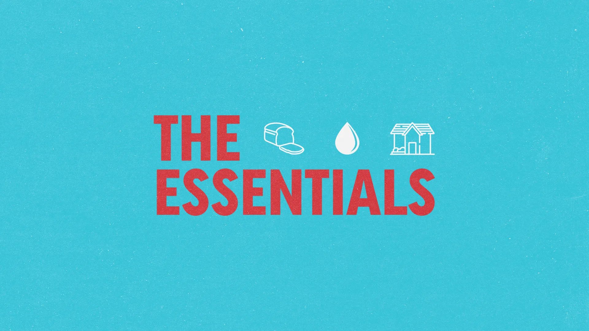 The Essentials