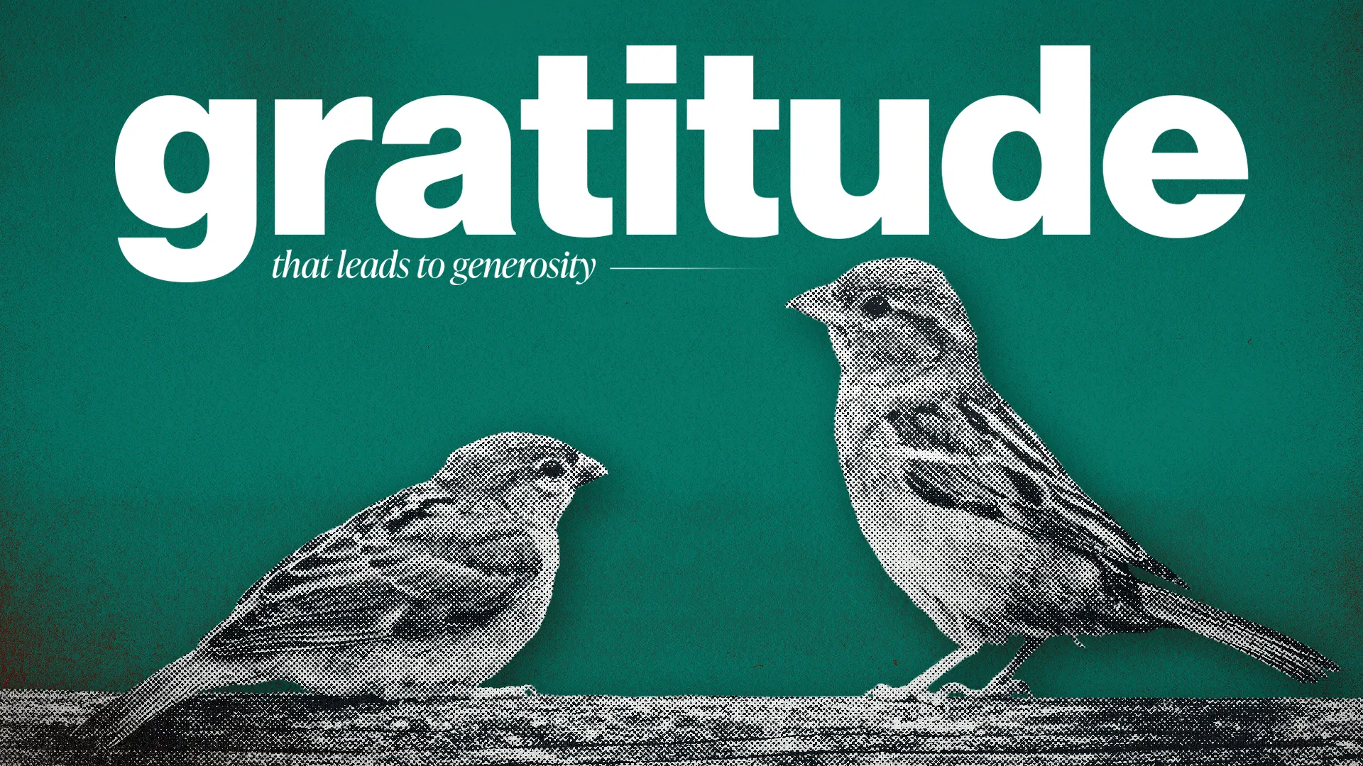 Gratitude preview 1