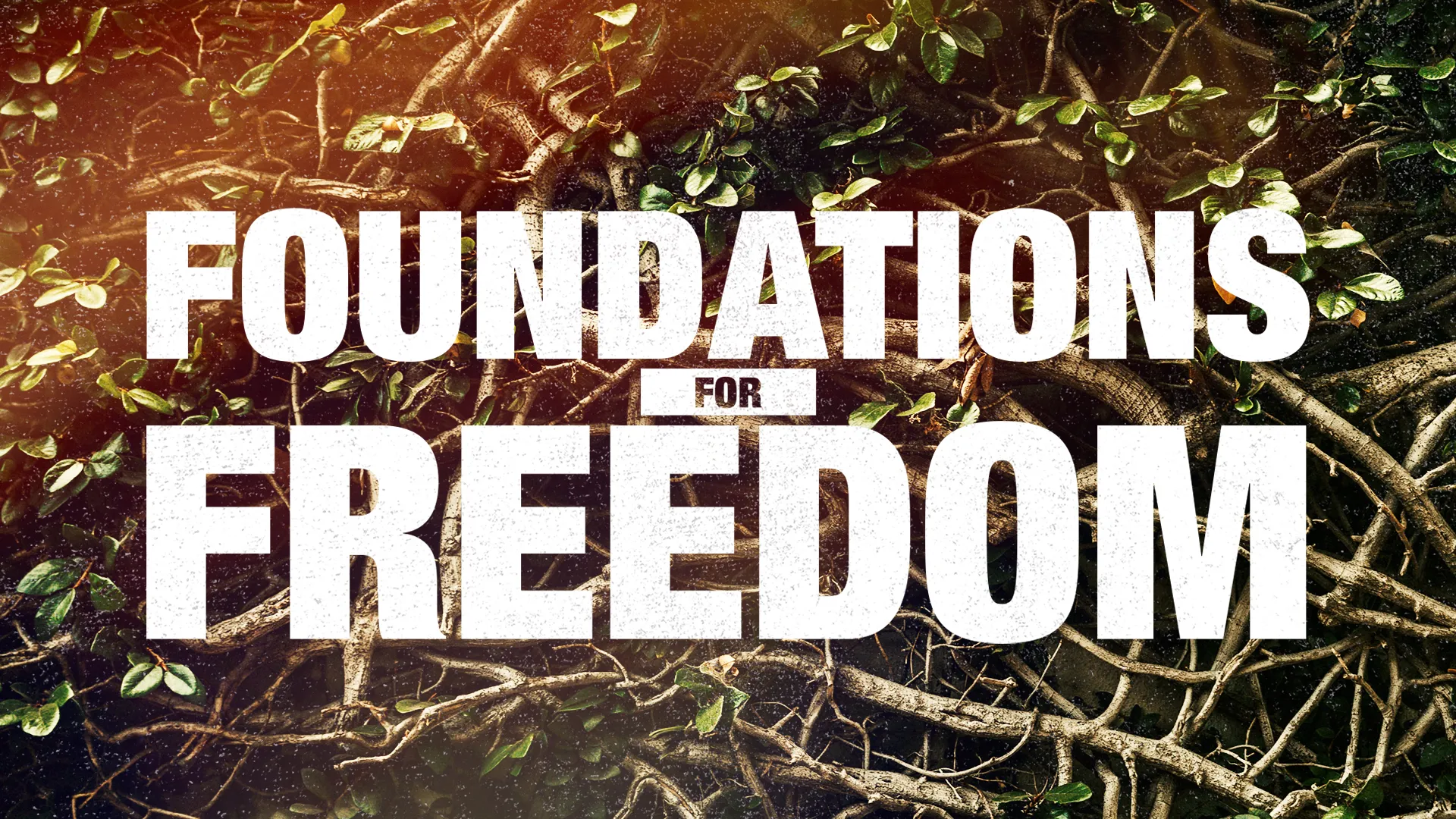 Foundations for Freedom preview 1