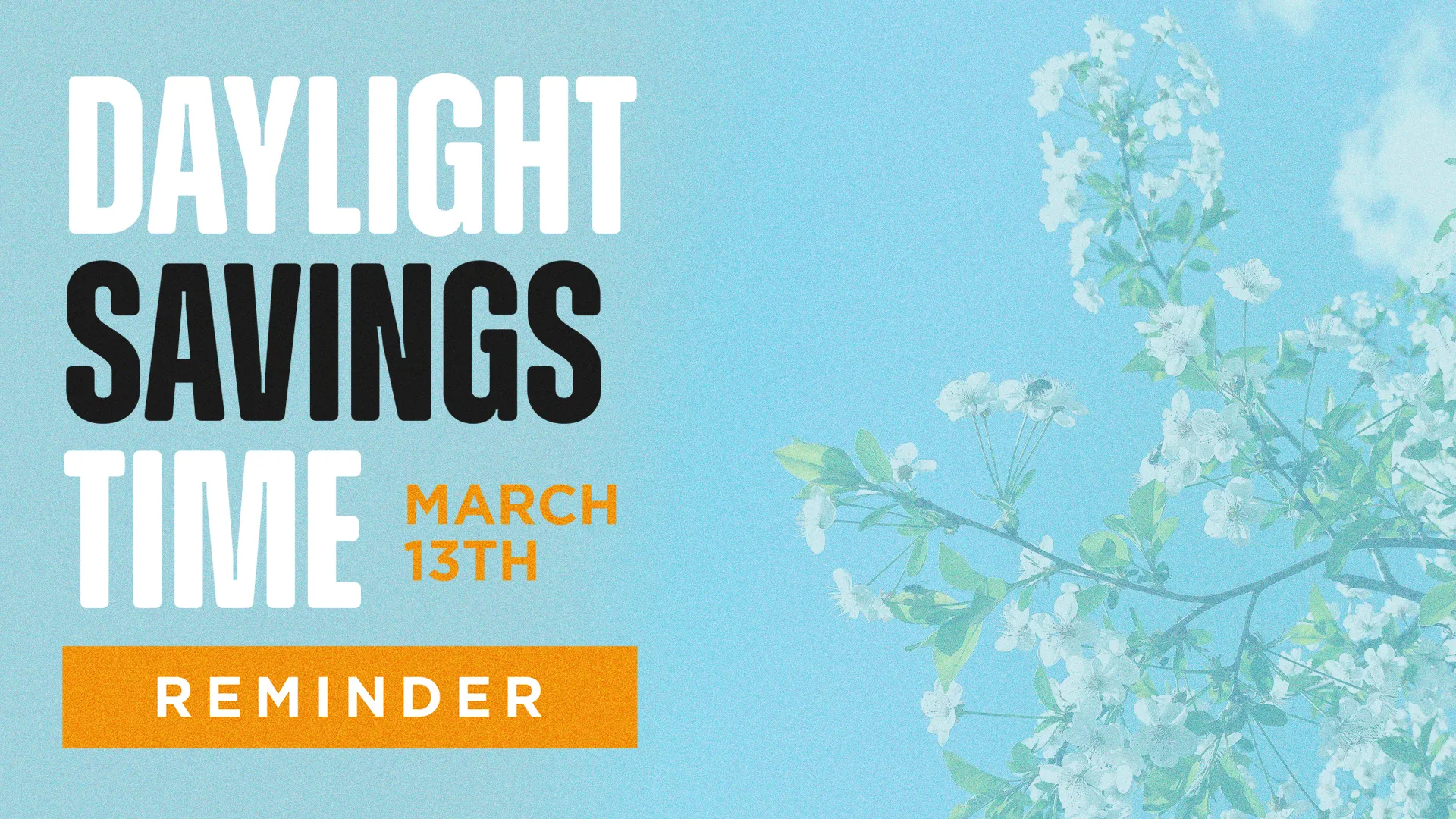 Daylight Savings Time