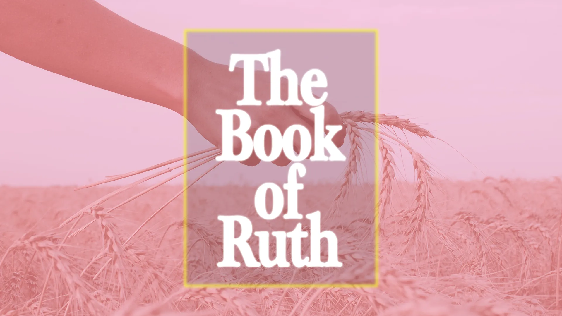 The Book of Ruth