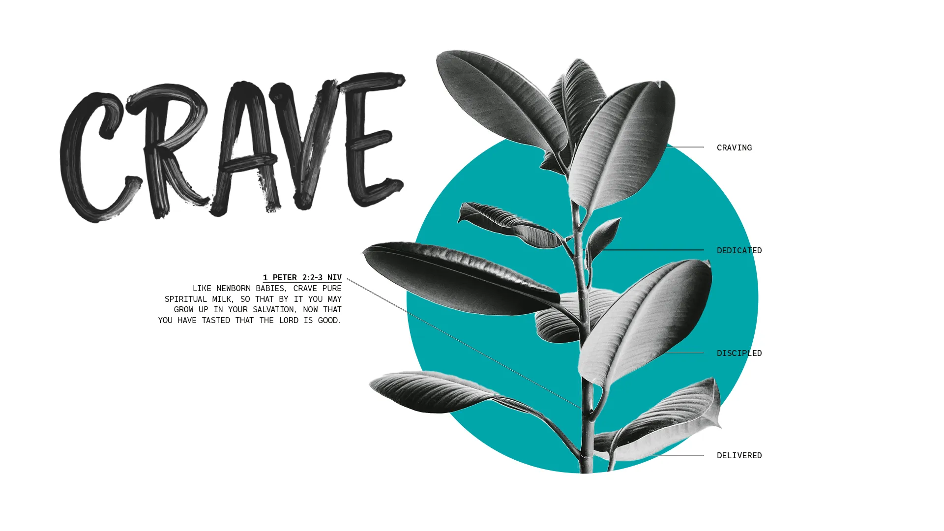 Crave