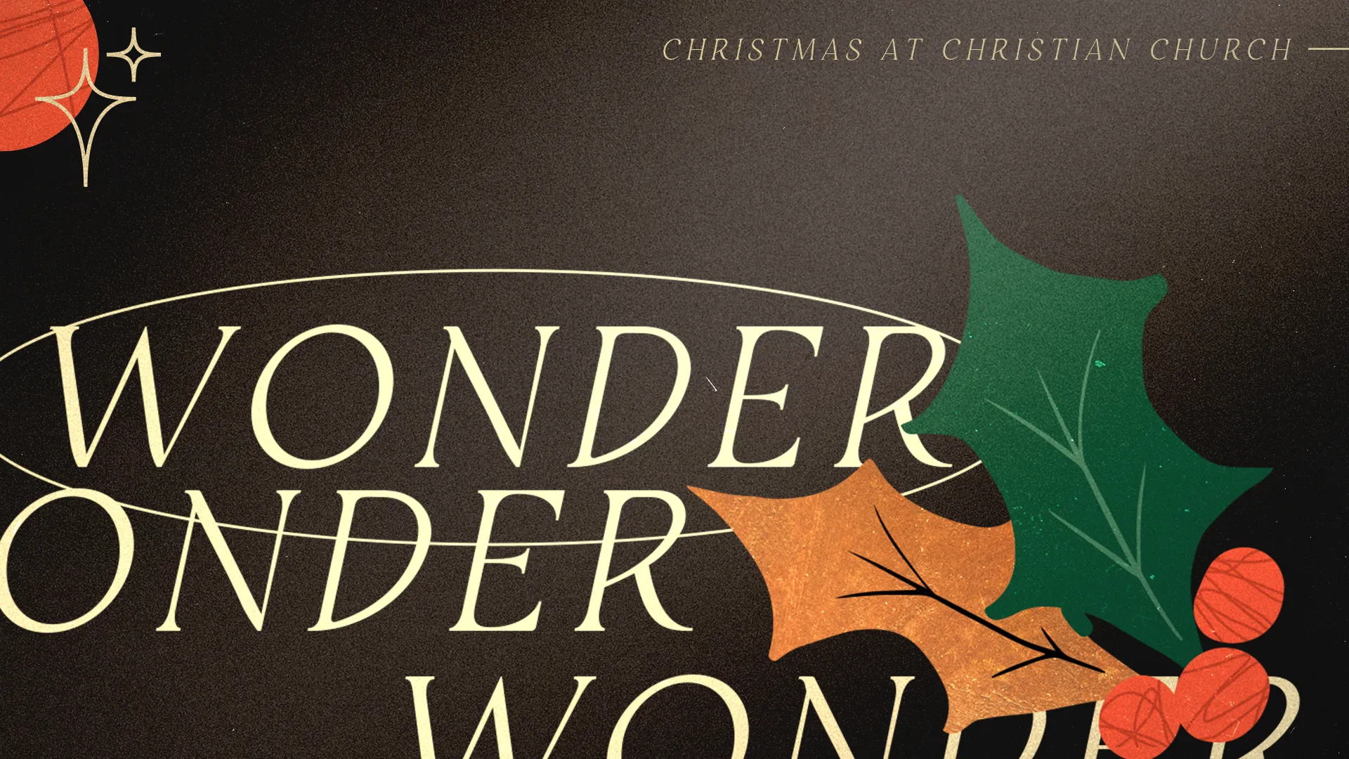 Wonder preview 1