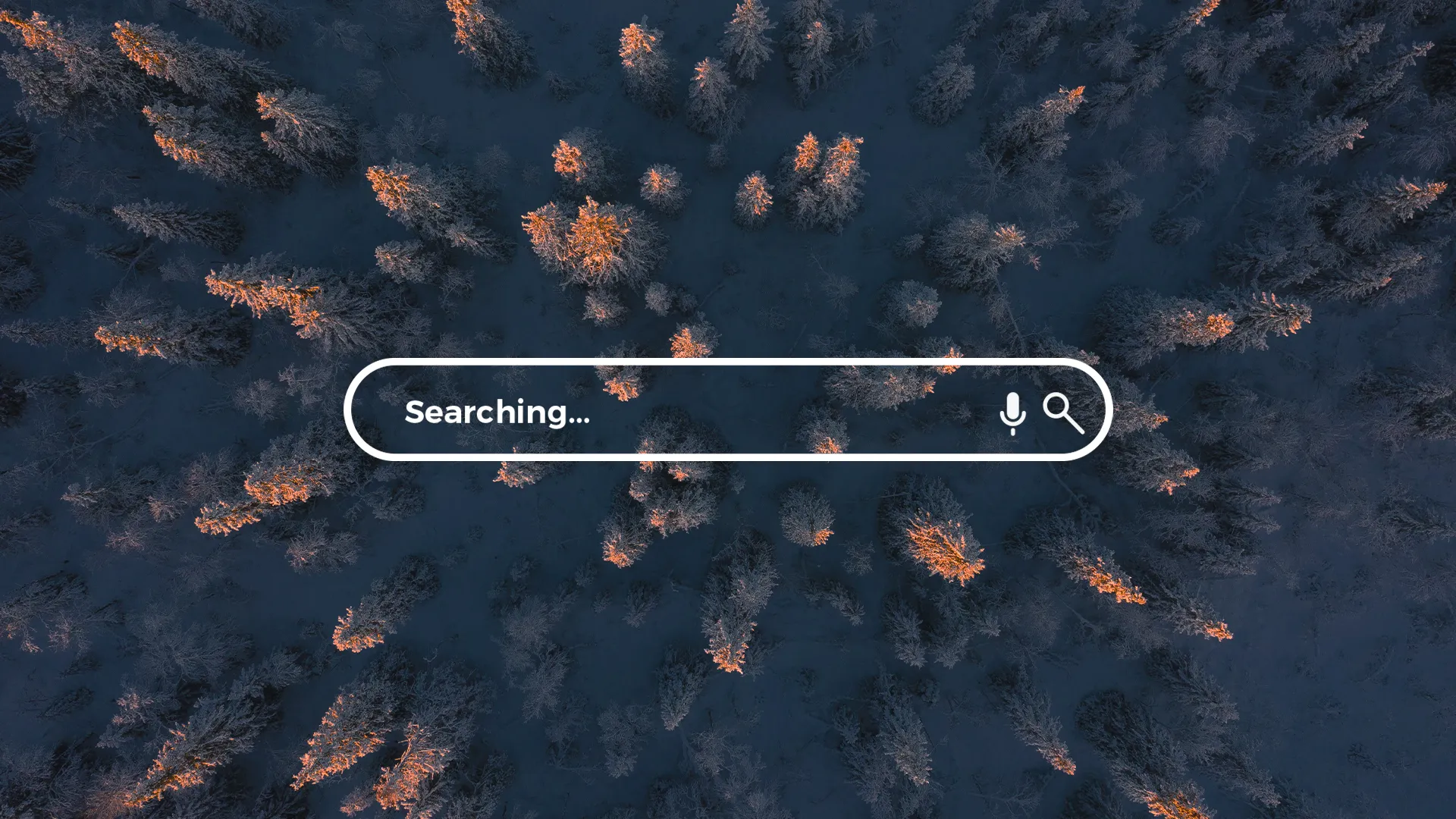 Searching