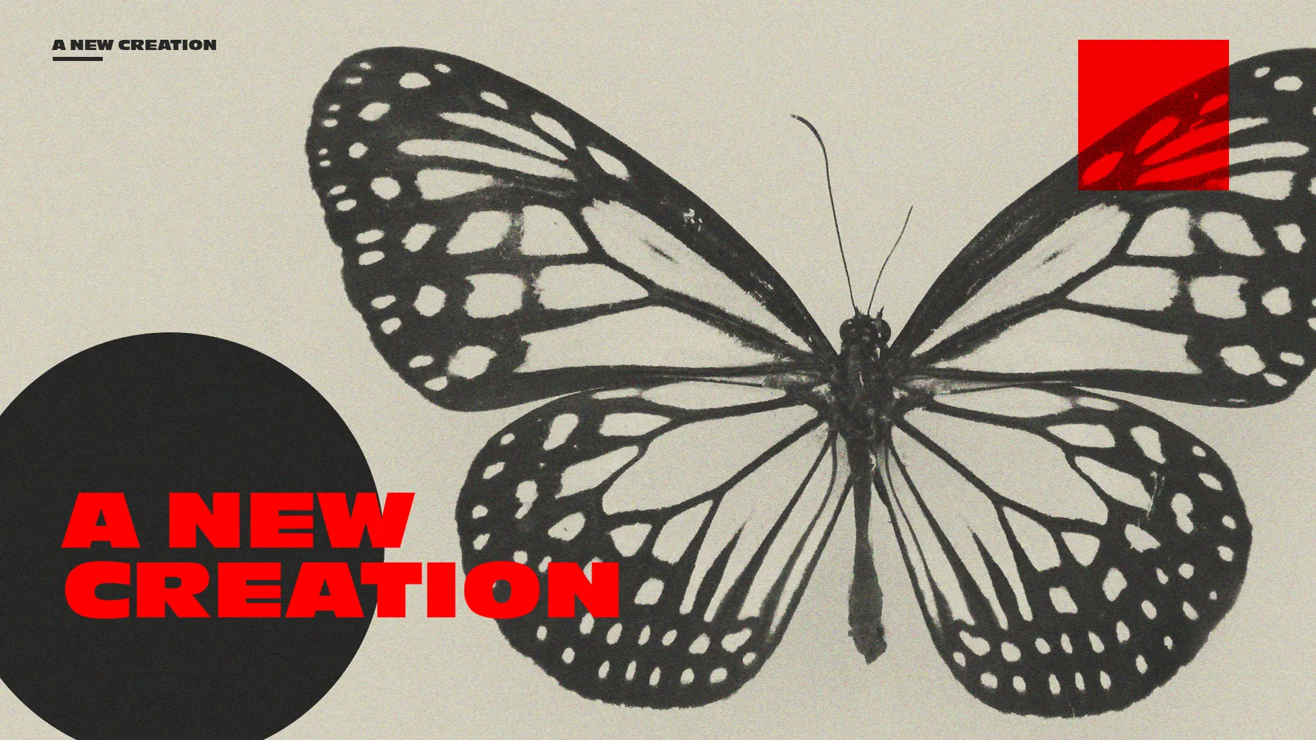 A New Creation