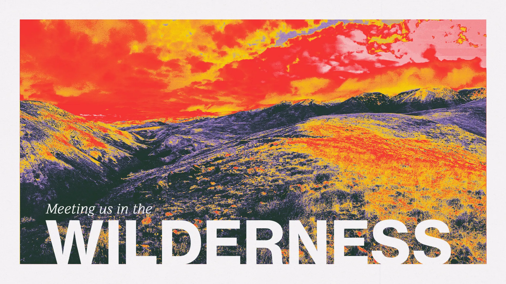 Meeting Us In the Wilderness