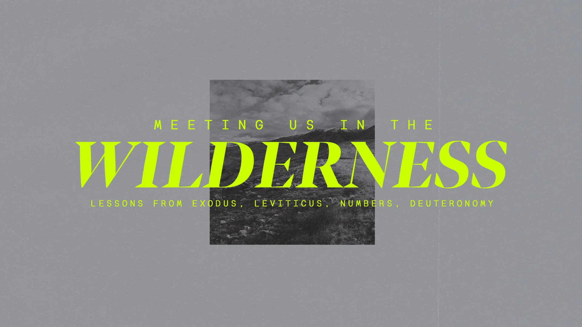 Meeting Us In the Wilderness