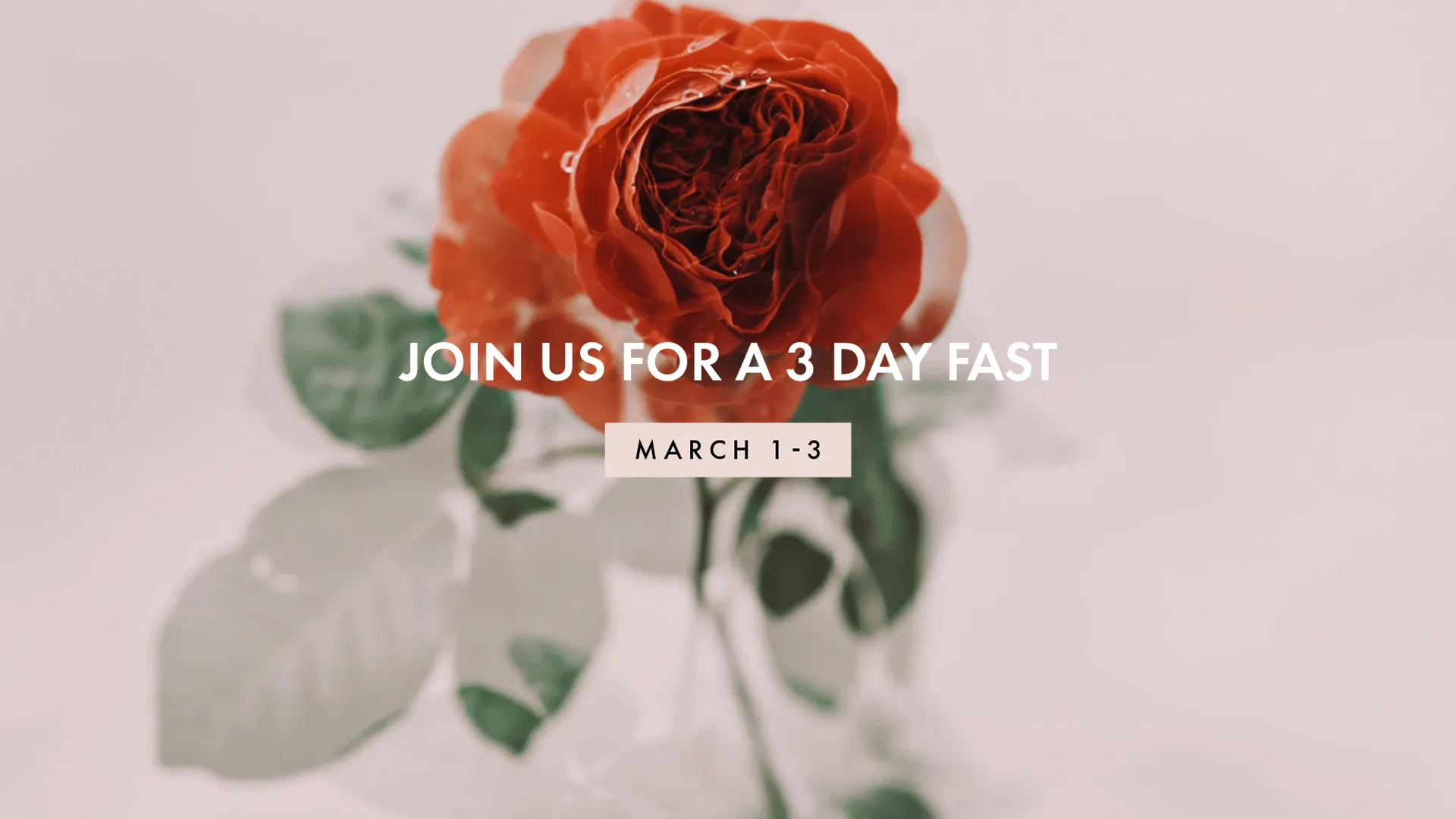 3 Day Fast