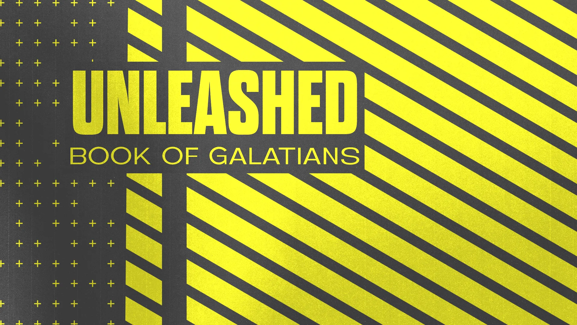Unleashed