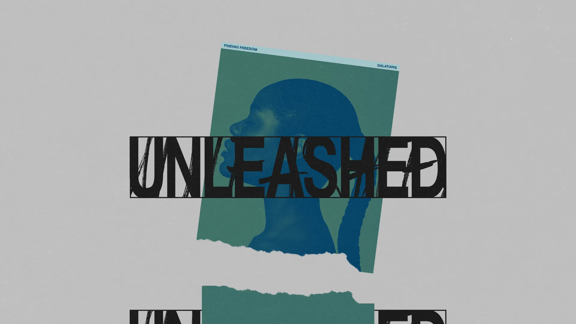 Unleashed