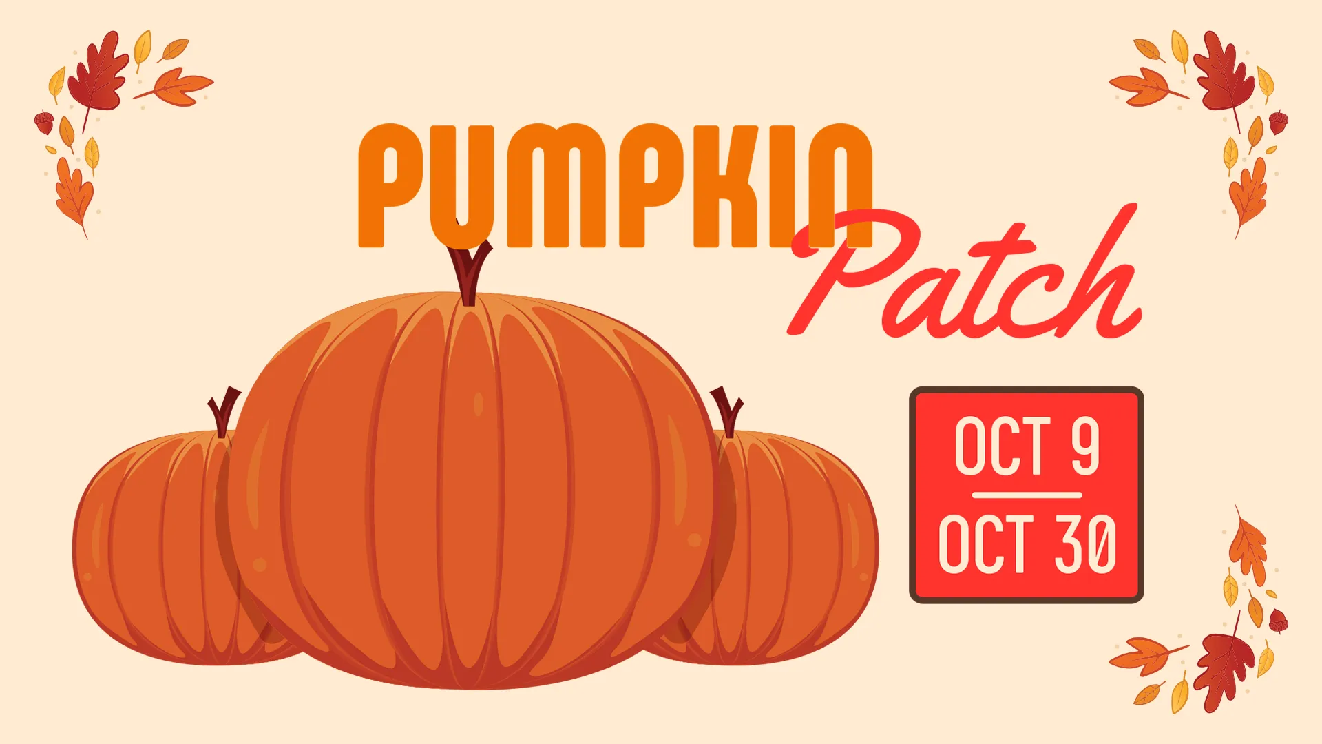 Pumpkin Patch
