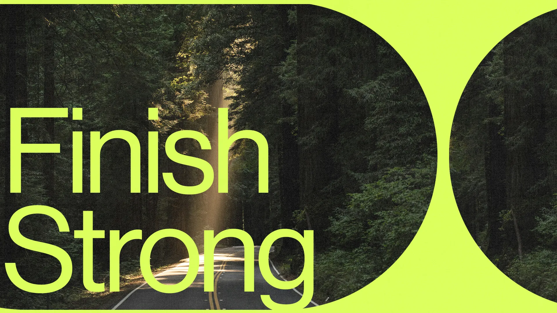 Sunlight streams through towering trees along a winding road, symbolizing perseverance and faith in the journey ahead.