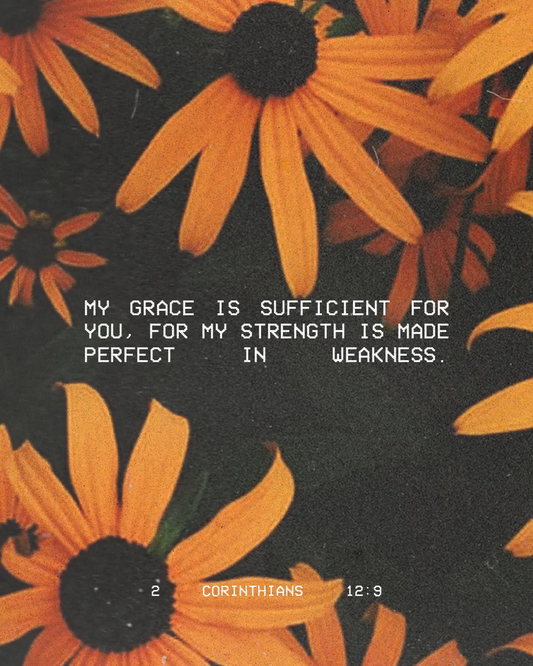 Bright orange flowers with a biblical verse about grace and strength, emphasizing faith and spiritual resilience.