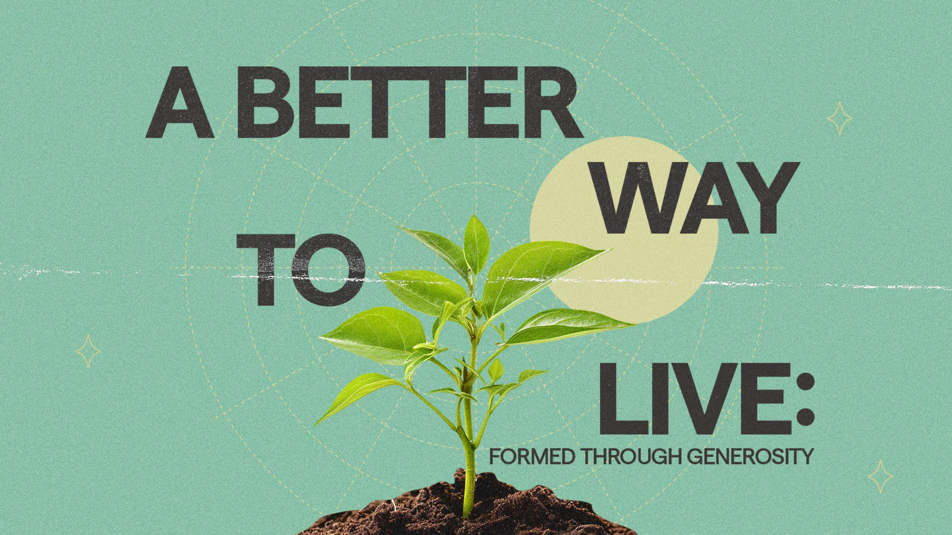 New plant sprouting from soil, symbolizing growth and faith, with the message of living generously.