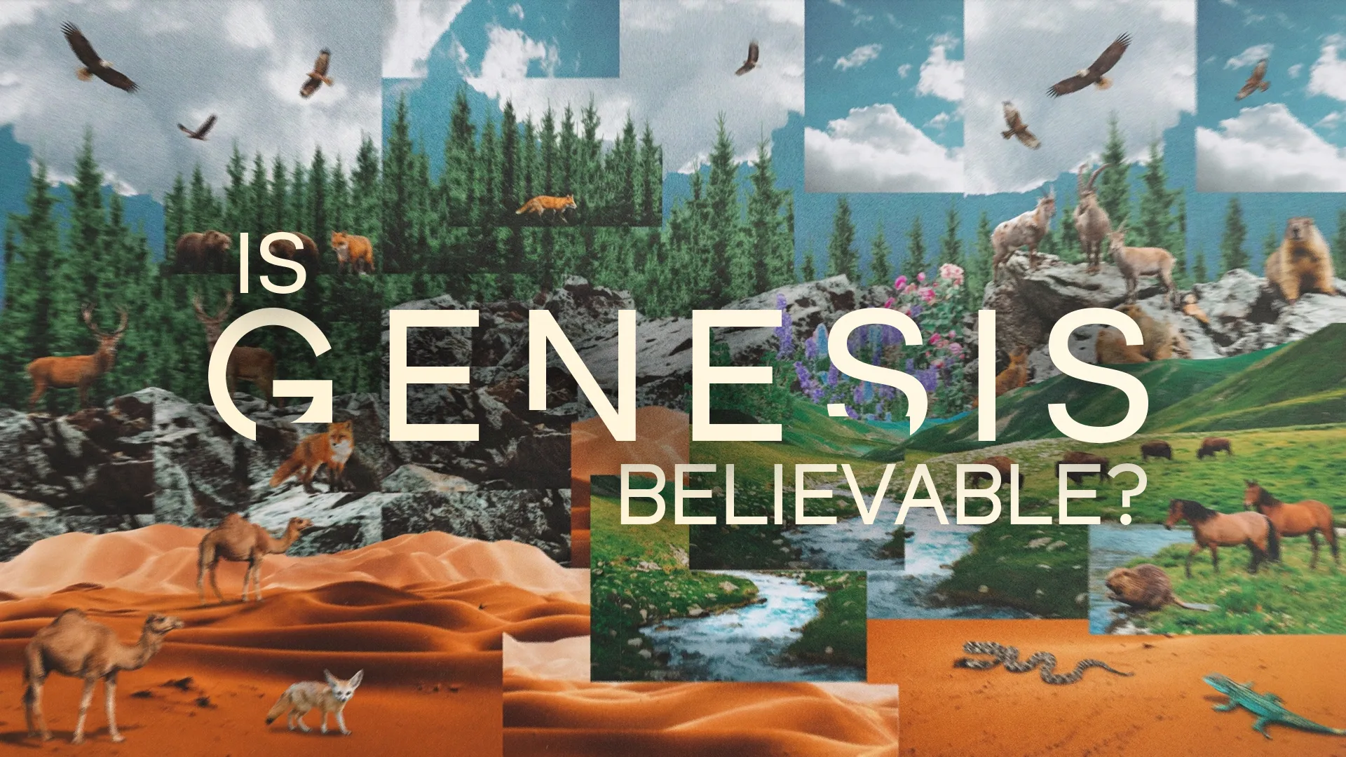 Nature scenes with diverse wildlife and landscapes, questioning the belief in Genesis, inviting reflection on faith.