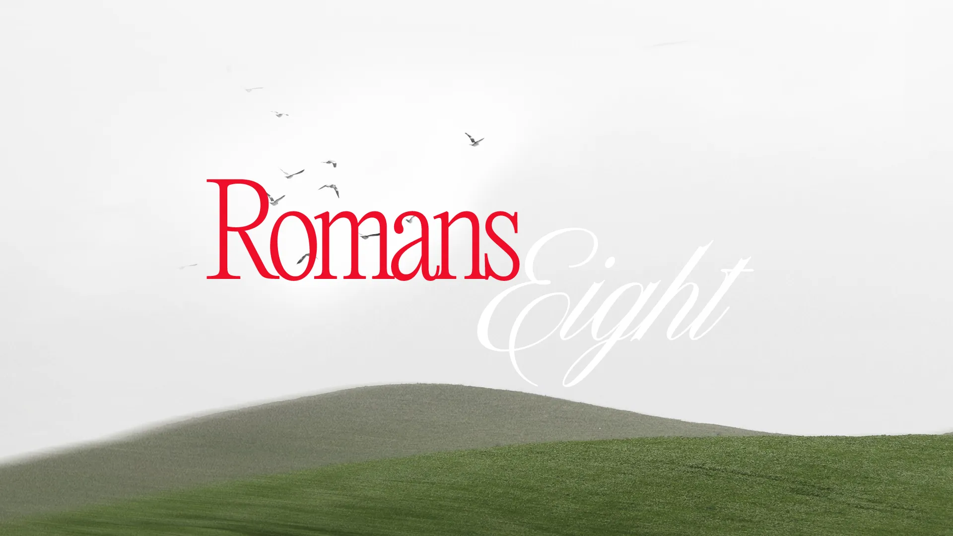 "Text 'Romans Eight' with birds flying over serene green hills, symbolizing faith, hope, and spiritual growth."