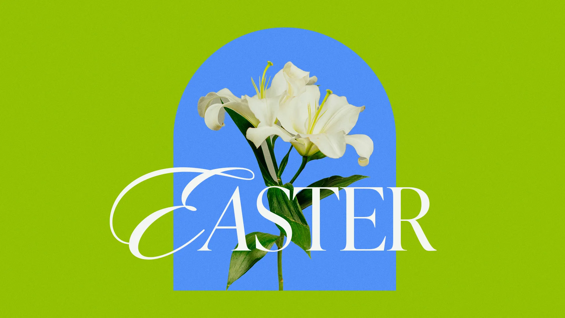 Easter lilies bloom against a vibrant background, celebrating renewal and community in faith at your church.