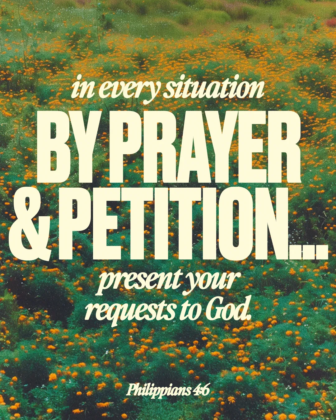 "Floral background with text encouraging prayer and petition, inspired by Philippians 4:6, emphasizing faith and community."