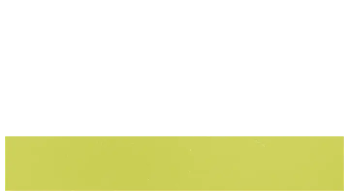 Vices vs Virtues: lower third · blank