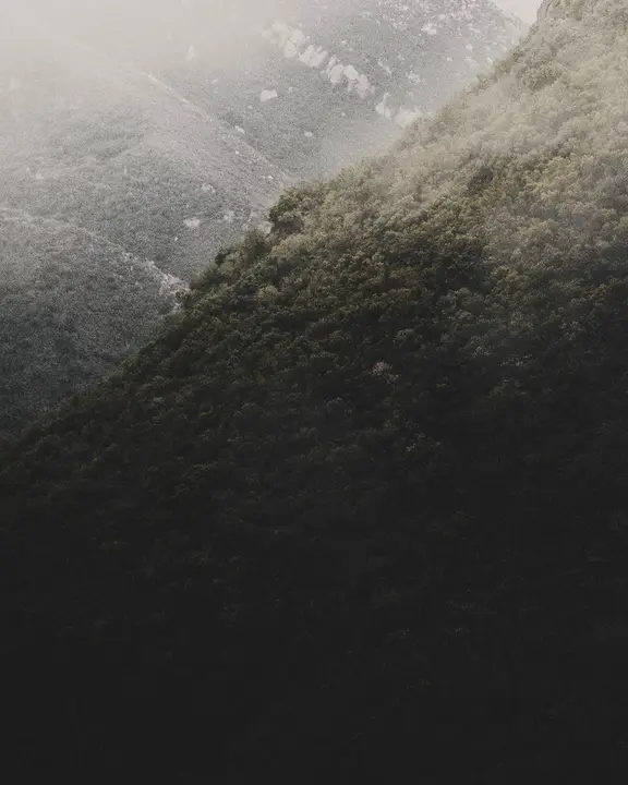Faithful Stewards of God’s Grace: social post · blank