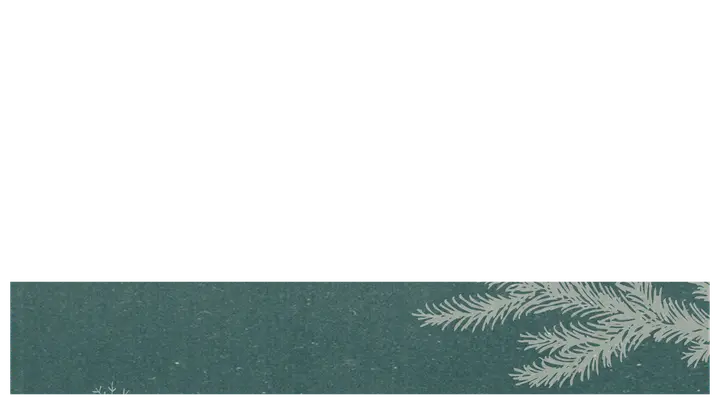 Christmas: lower third · blank