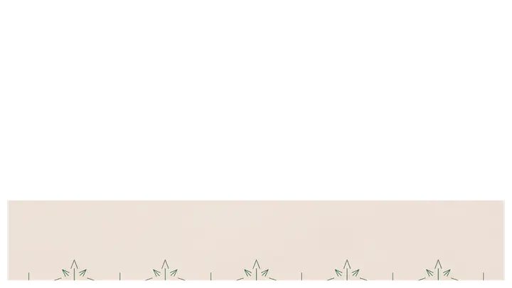 Christmas At Your Church: lower third · blank