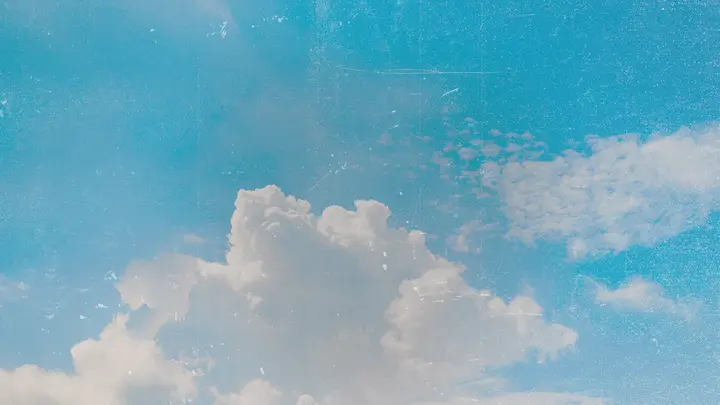 Seek First: blank background