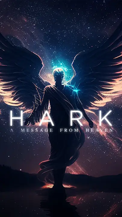 Hark A Message From Heaven: story
