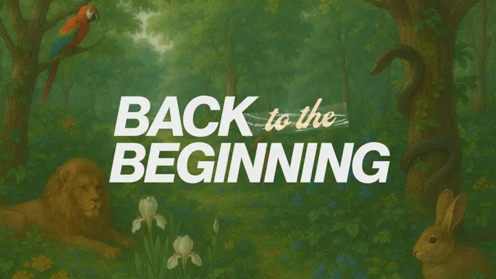 Back to the Beginning: 4K slide
