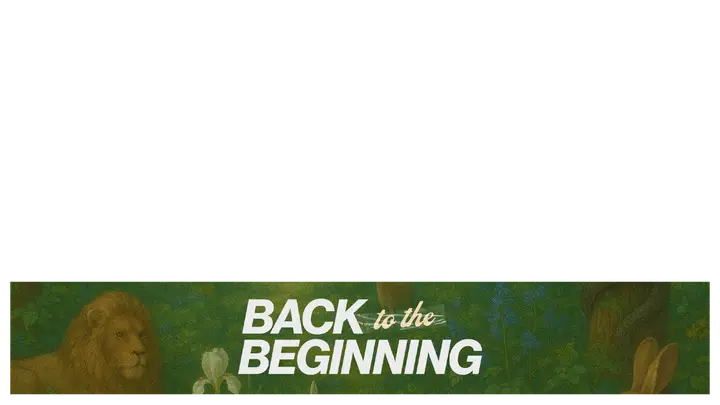 Back to the Beginning: lower third