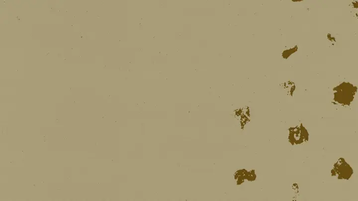 The Gift: blank background
