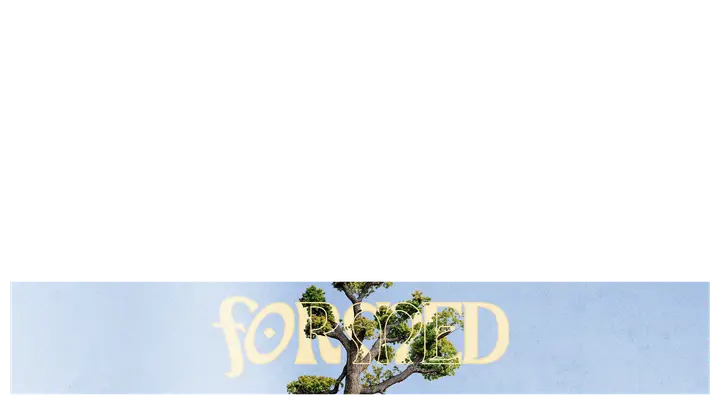 Formed: lower third