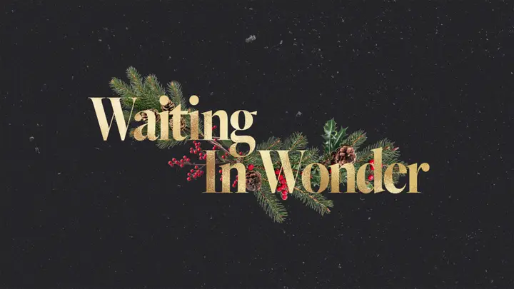Waiting In Wonder: 4K slide