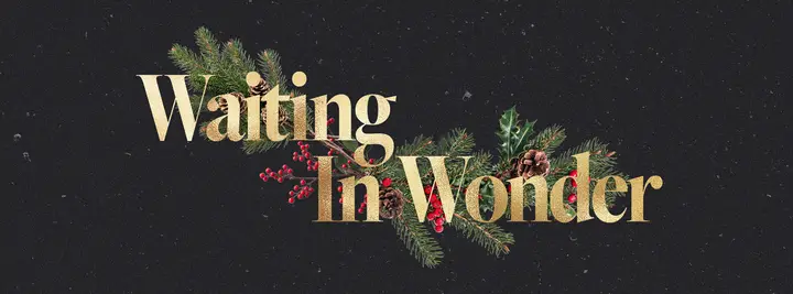 Waiting In Wonder: facebook cover