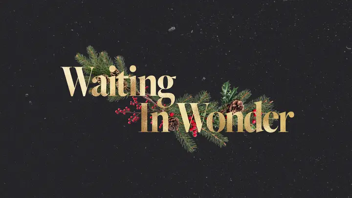 Waiting In Wonder: HD slide